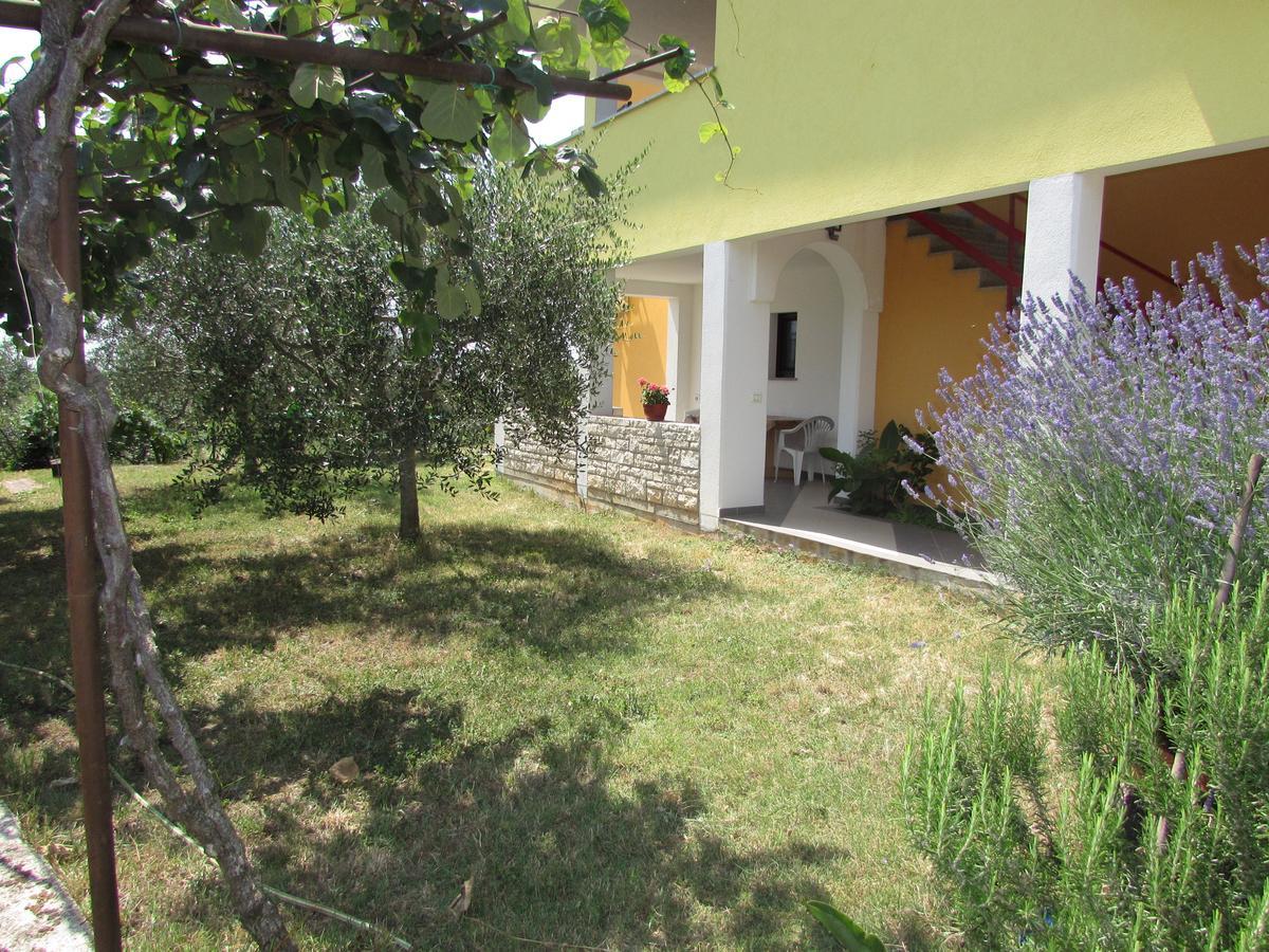 Apartments Goga Umag Eksteriør bilde
