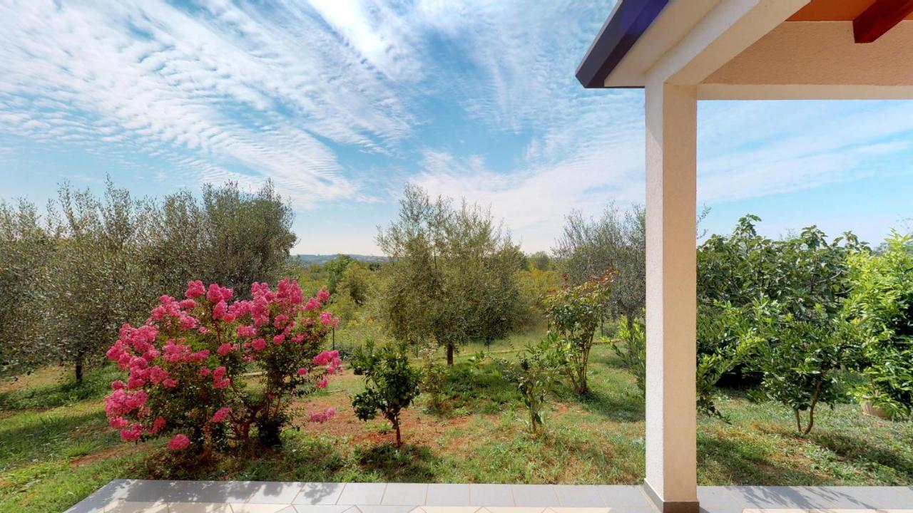 Apartments Goga Umag Eksteriør bilde